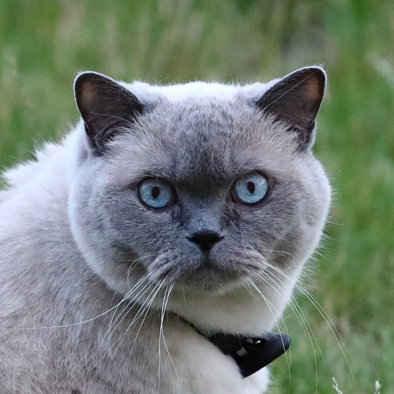 Een geestelijk of lichamelijk probleem binnen de relatie