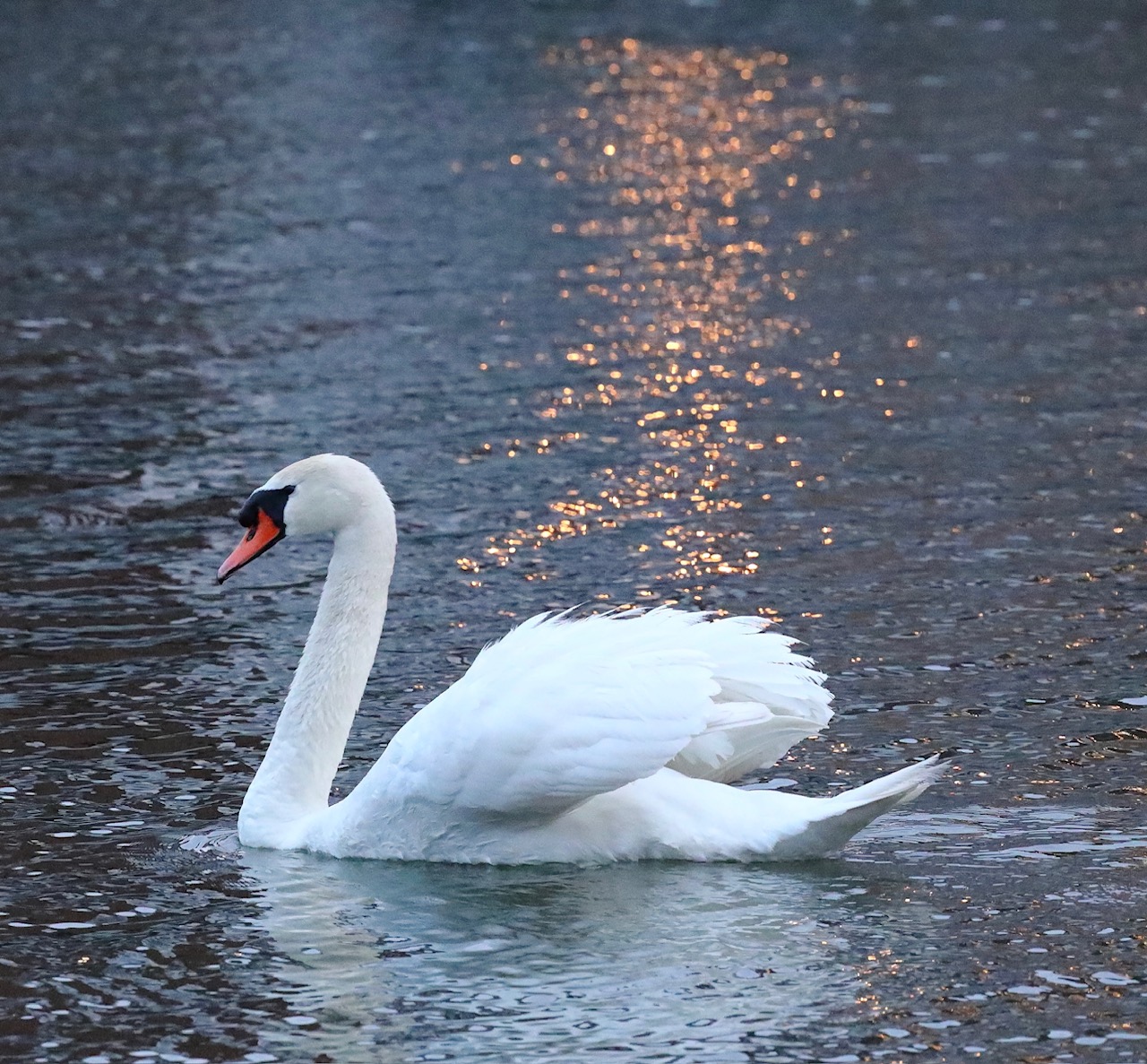 De verbinding in de relatie