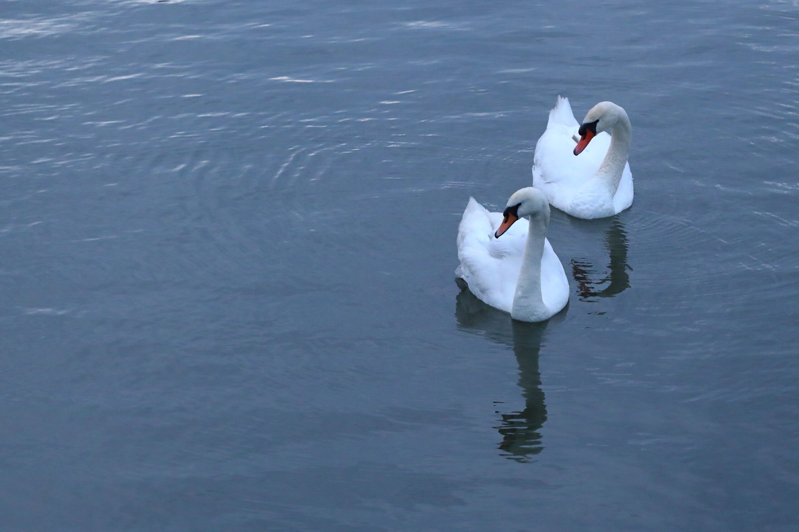 Een gelukkig huwelijk