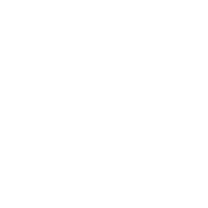 Familie trauma - FSTCertified